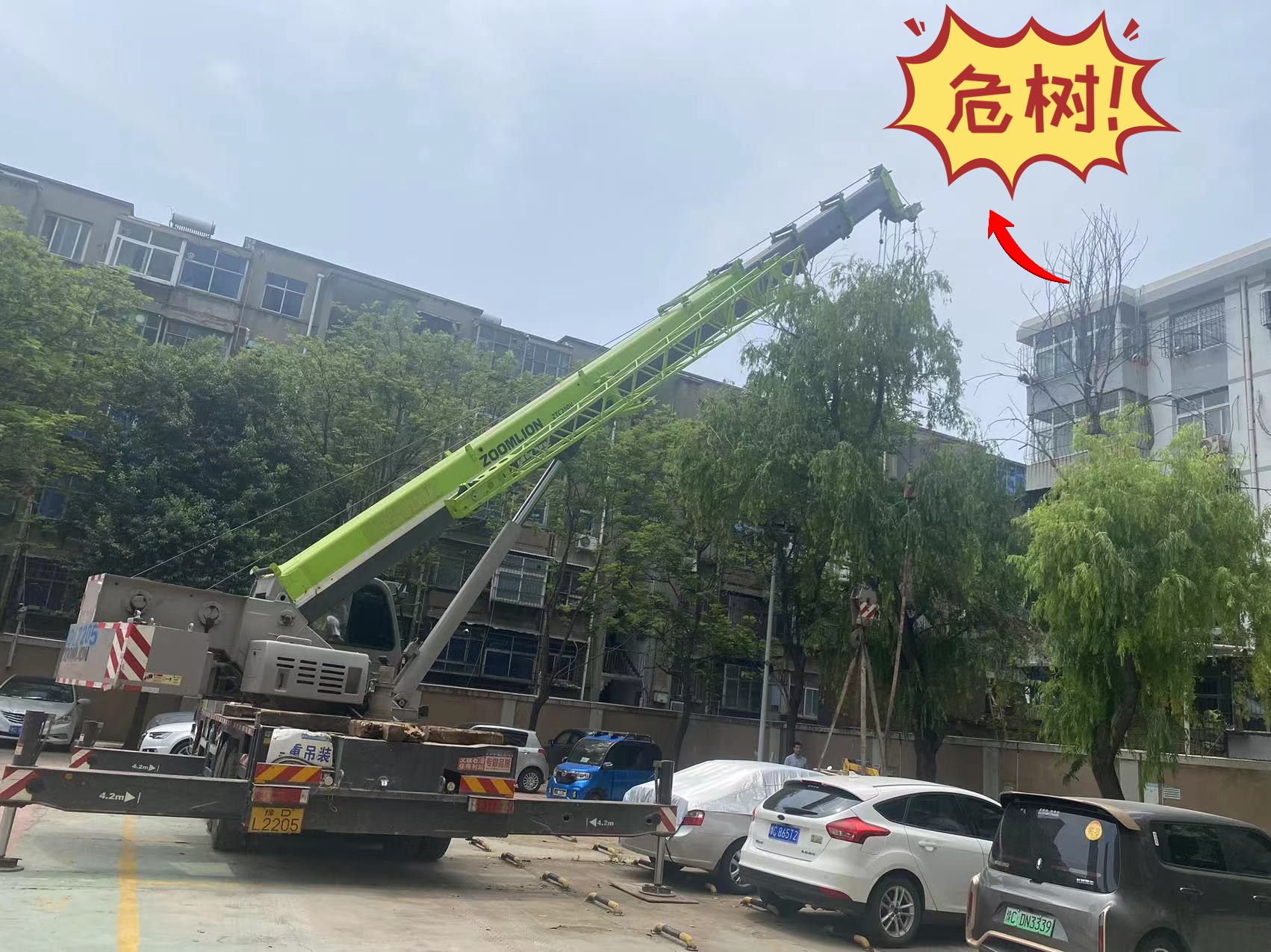 【潤達(dá)安全】處理危樹為業(yè)主排隱患